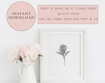 Printable Protea Flower Print: Watercolor Style (Digital Download)