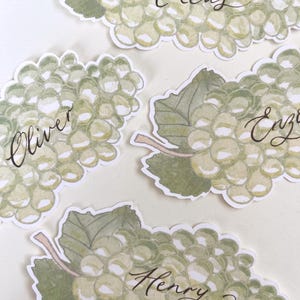 Hand painted and printed watercolour grape place cards with walnut ink personalised calligraphy guest names. Choose from a green bunch of grapes or a purple bunch of grapes. Or have a mix of both colours. Perfect for a Mediterranean wedding, winery event or a party on a vineyard. Classic grape place card are great for a long Italian or Greek lunch under the grapevines.