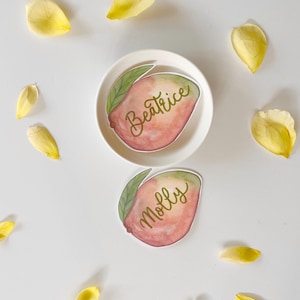 Aquarell Mango Tischkarten, Hochzeit Tischkarten, Junggesellinnenabschied Tischkarten, Strand Thema Dekor, Obst Namensschild, Tropische Party, Kinder Party