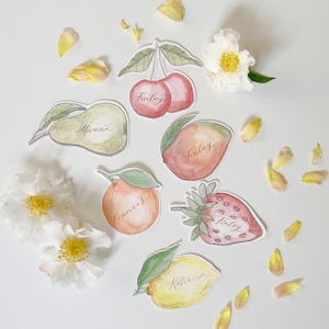 Surtido de 6 tarjetas de frutas, tarjetas personalizadas con forma de fruta, tarjetas con forma de frutero, tarjetas de frutas para fiestas de verano, etiquetas con nombres bonitas