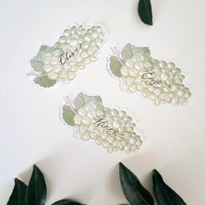 Hand painted and printed watercolour grape place cards with walnut ink personalised calligraphy guest names. Choose from a green bunch of grapes or a purple bunch of grapes. Or have a mix of both colours. Perfect for a Mediterranean wedding, winery event or a party on a vineyard. Classic grape place card are great for a long Italian or Greek lunch under the grapevines.