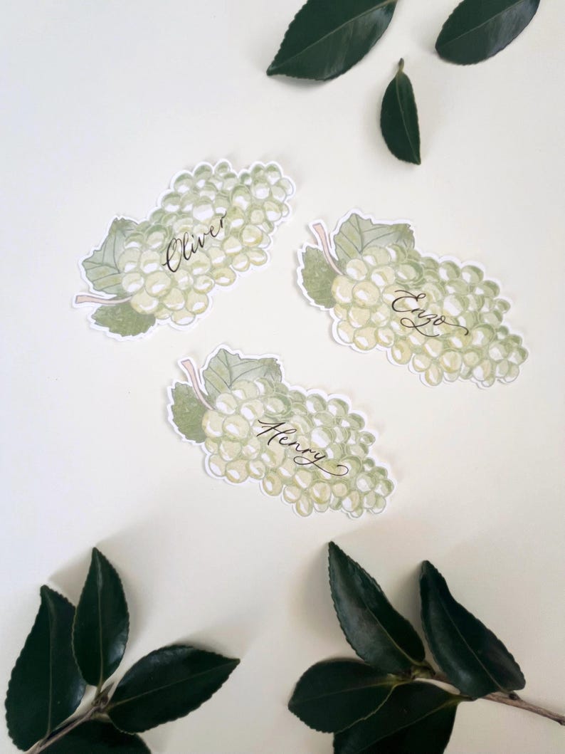 Hand painted and printed watercolour grape place cards with walnut ink personalised calligraphy guest names. Choose from a green bunch of grapes or a purple bunch of grapes. Or have a mix of both colours. Perfect for a Mediterranean wedding, winery event or a party on a vineyard. Classic grape place card are great for a long Italian or Greek lunch under the grapevines.