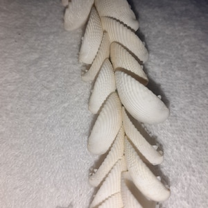 Vintage  tahition shell lei