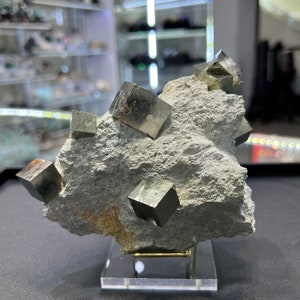 Genuine Pyrite Cubes on Basalt From Spain image 1