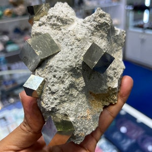 Genuine Pyrite Cubes on Basalt From Spain image 6