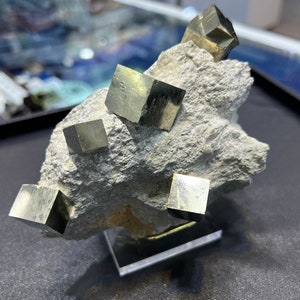 Genuine Pyrite Cubes on Basalt From Spain image 5