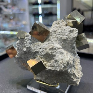 Genuine Pyrite Cubes on Basalt From Spain image 3