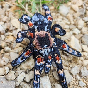 May include: An embroidered patch shaped like a tarantula spider. The design features a black body with a central tan patch and legs detailed with vibrant orange, light blue, and white thread accents, creating a textured and colorful appearance.