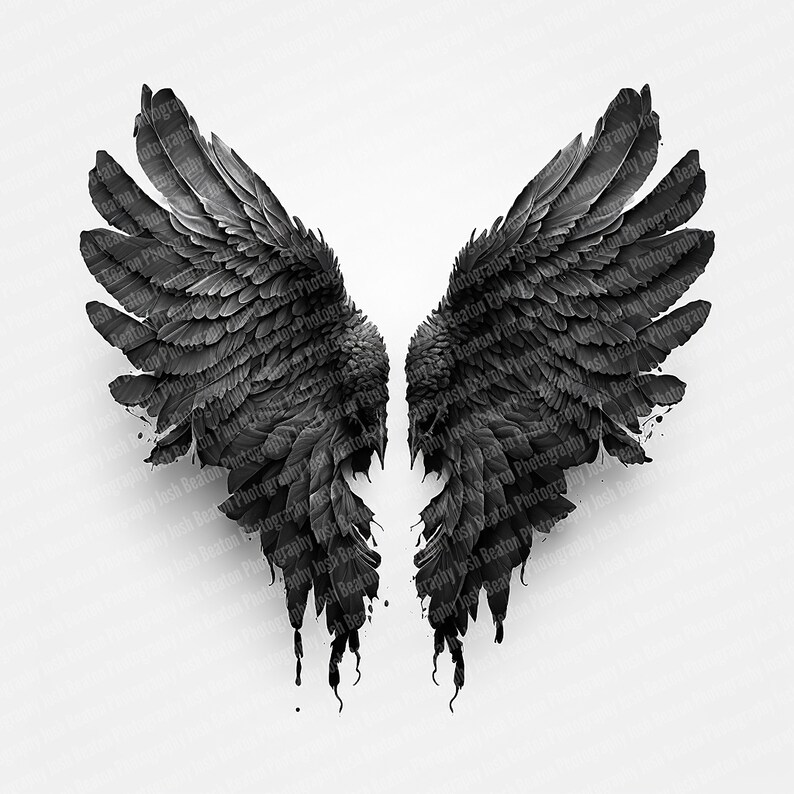 Fully Masked Fallen Angel Wings Etsy