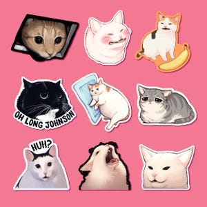 Meme Cats Vol. 1 - Vinyl Stickers