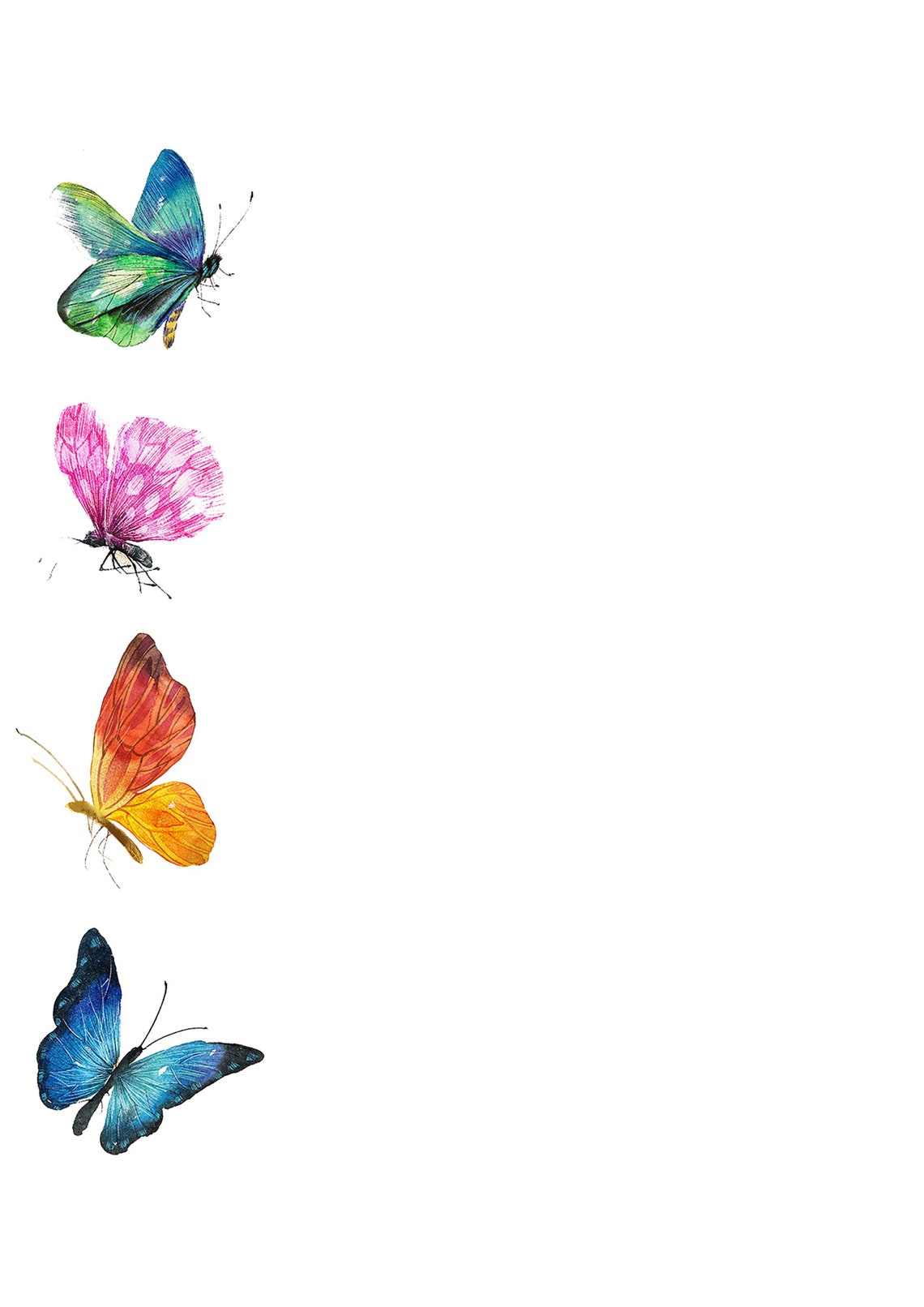 papillon en 6 lettres