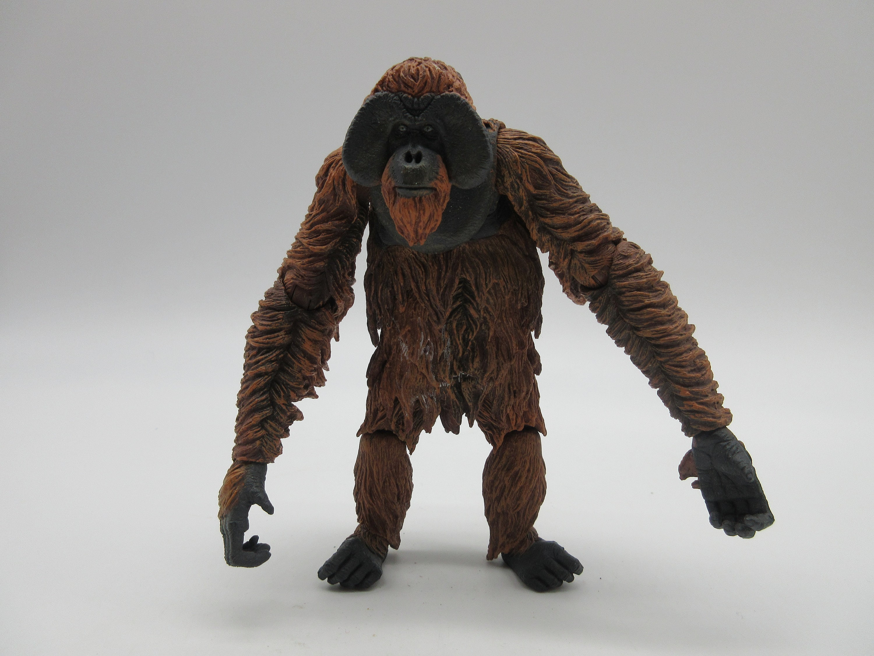 Maurice Of The Apes