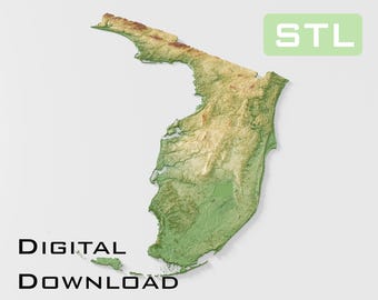 Modelo topográfico detallado Archivos STL de topografía de Florida: perfectos para CNC e impresión 3D: CNC, impresión 3D, mapa en relieve