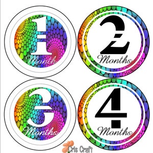 Rainbow Monthly Sticker / Baby Month Sticker / Bodysuit Monthly Sticker / Monthly Photo / Baby Stickers / Month by Month / Instant Download