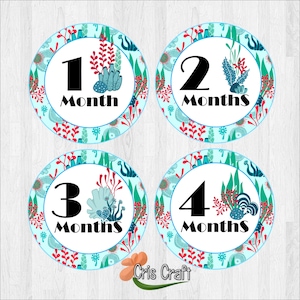 Under the Sea Monthly Sticker / Baby Month Stickers / Bodysuit Monthly Stickers / Monthly Photo / Baby Stickers / Month by Month / DIY