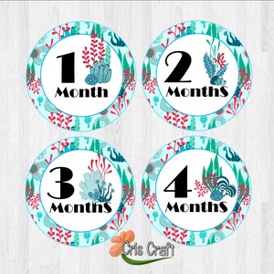 Under The Sea Monthly Sticker / Baby Month Sticker / Bodysuit Monthly Sticker / Monthly Photo / Baby Stickers / Month by Month / Boy Sticker