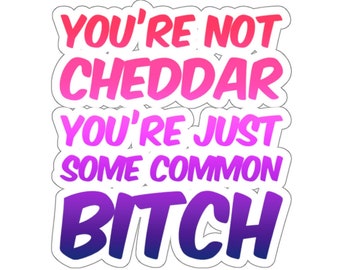 Pegatina con la frase "No eres Cheddar" del capitán Holt de Brooklyn Nine-Nine