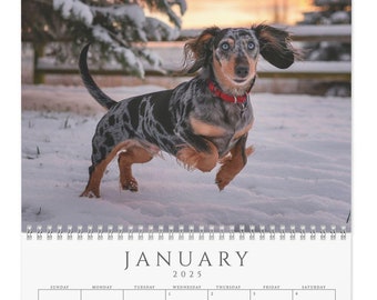 2025 Dachshund Calendar Custom Dog Wall Calendar Custom 12 Month Desk Calendar Dachshund Mom Gift Elegant Minimalist 2024 Monthly Calendar
