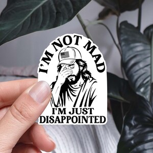 Ich bin nicht verrückt, ich bin nur enttäuscht Aufkleber Lustiger Anti Trump Wetterbeständiger Aufkleber Anti Faschismus Vinyl Autoaufkleber Religiöser Humor Geschenk