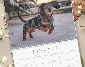 2026 Dachshund Calendar Customizable: Dog Mom Gift, Personalized 2026 Wall or Desk Calendar