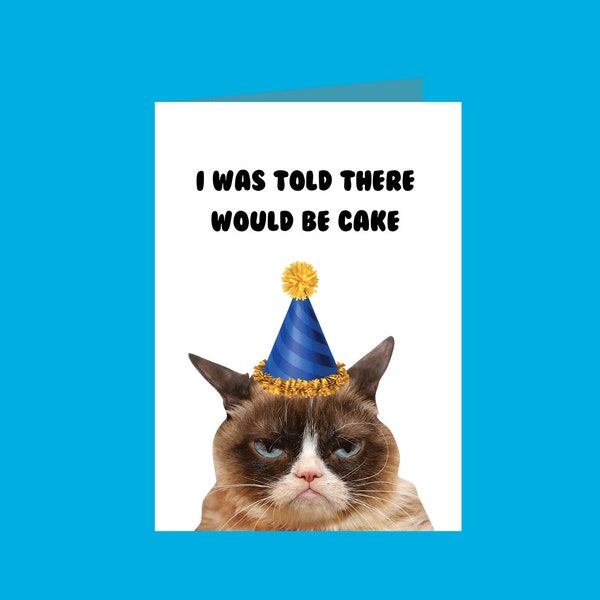 Funny Cat Birthday Card I Was Told There Would Be Cake Grumpy Cat Birthday Cards Novelty Gag Gift