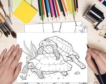 Funny Humping Animals Coloring Book: Adult Stress Relief (PDF)
