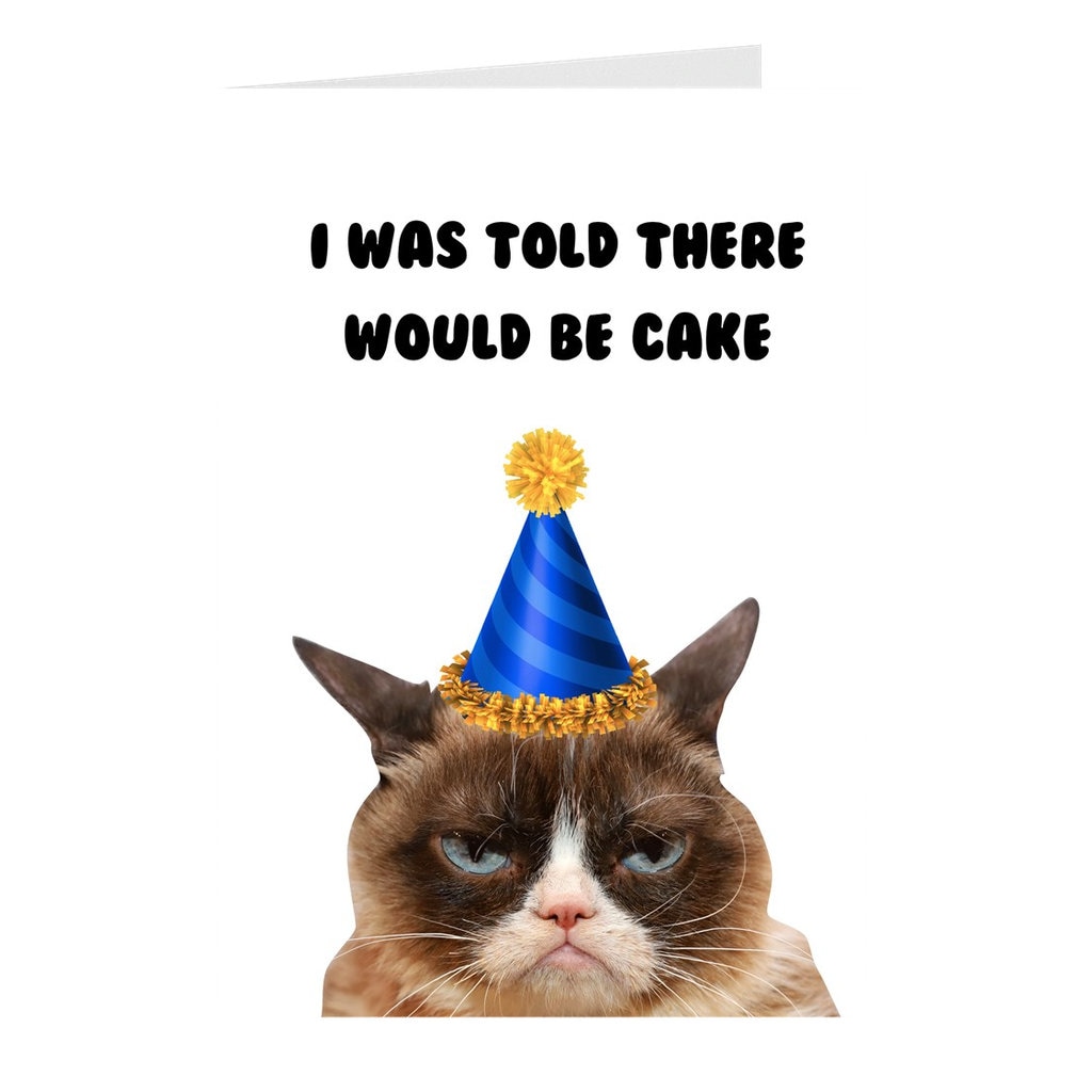 Grumpy Cat In Party Hat