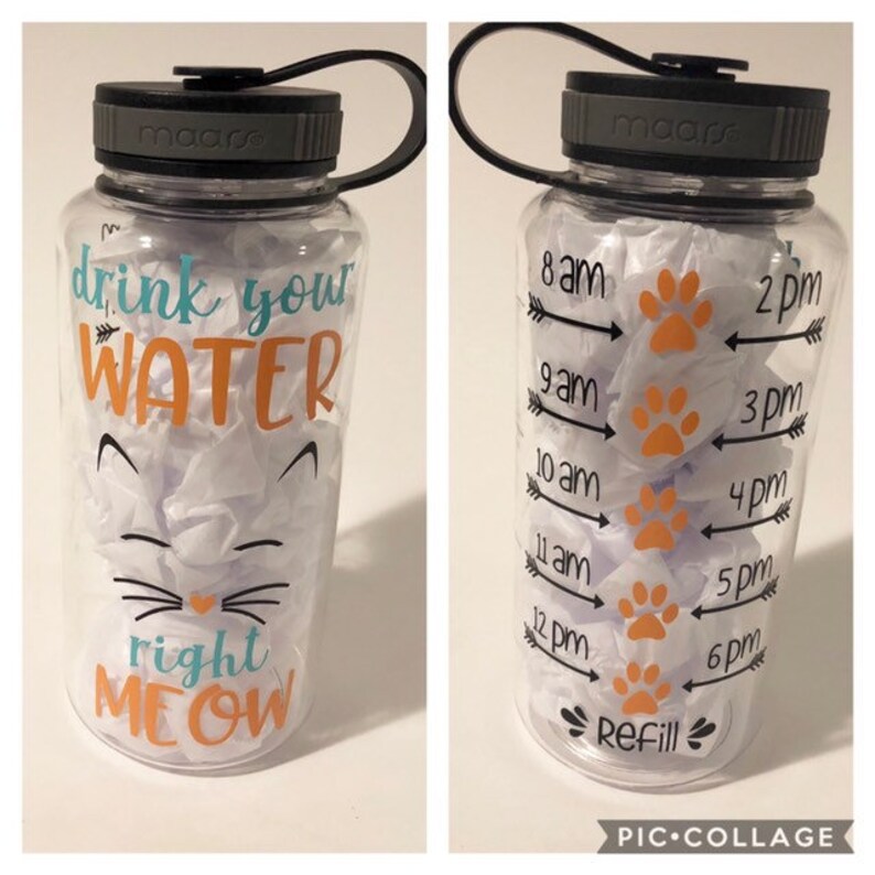Drink your water right Meow water bottle Etsy