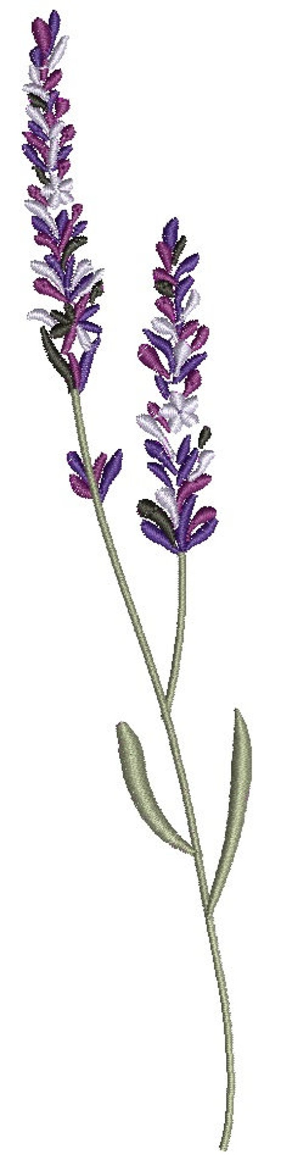 Lavender Machine Embroidery Design Etsy Australia