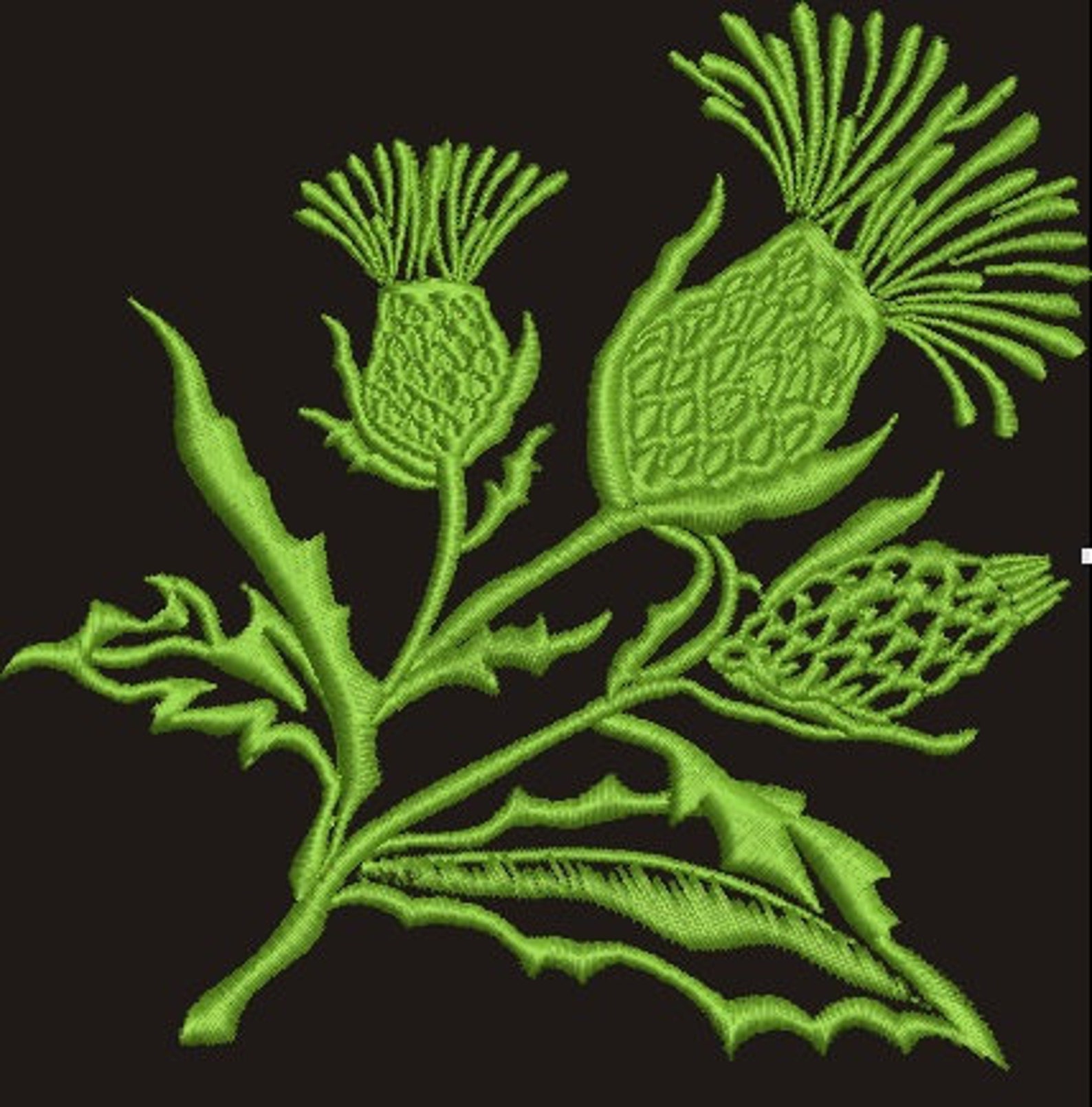 Scottish Thistle Machine Embroidery Design Etsy