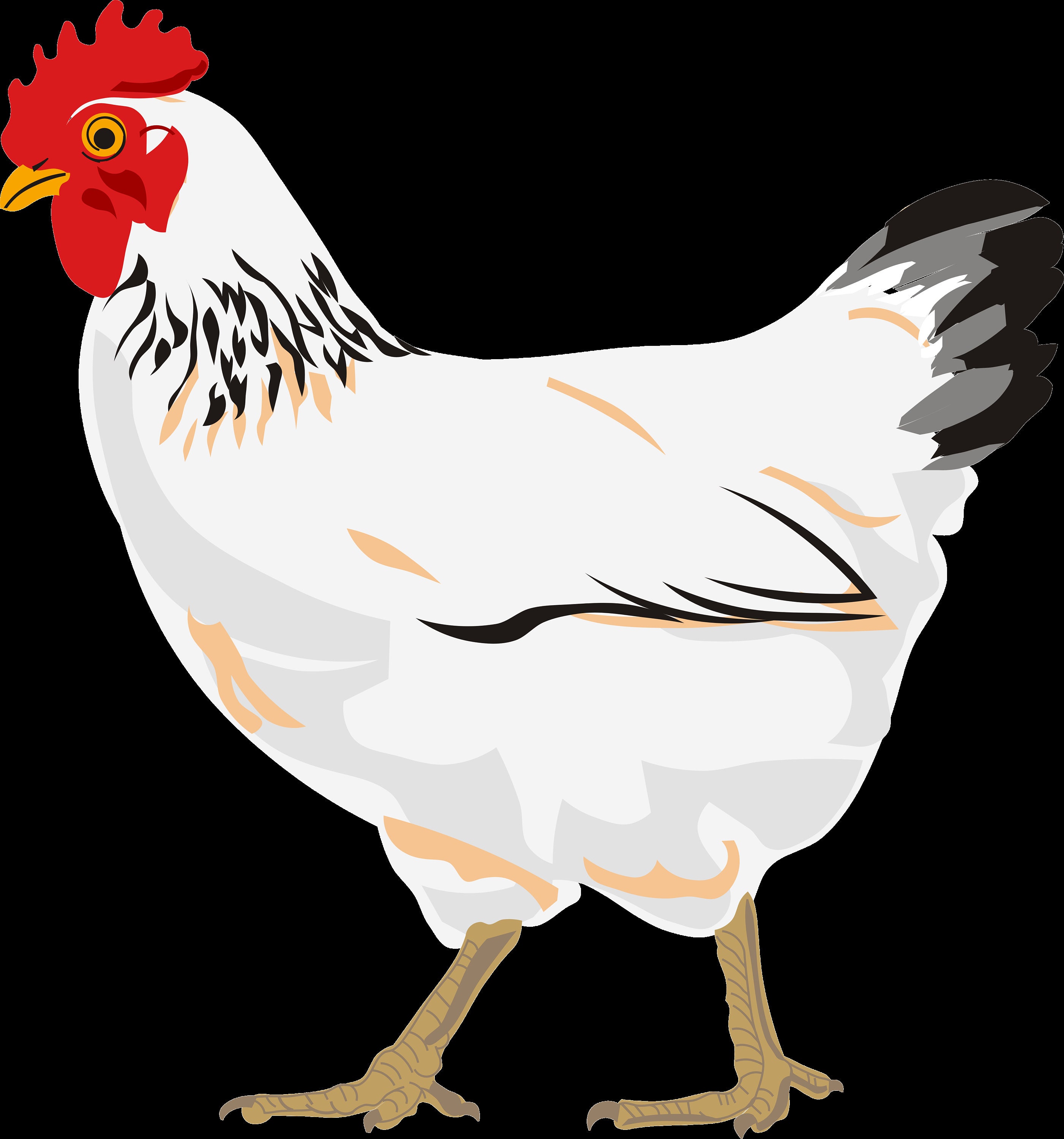 Chicken SVG. Dxf PNG. EPS. Jpg Big Size 300 Dpi - Etsy