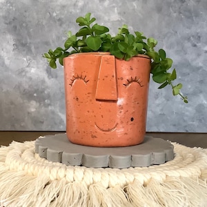 Olla de la planta de la cara hecha a mano, la arcilla femenina mini suculento poteador, lady Penelope Pot