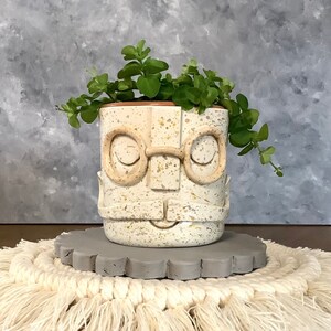 May include: A white ceramic planter with a face design, featuring glasses, a mustache, and speckles of gold paint. The planter is filled with green leafy plants and sits on a gray concrete coaster with a white fringe.