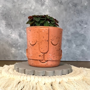 Peut inclure: Un pot de fleurs en terre cuite de couleur terracotta avec un motif de visage, comprenant une moustache et des yeux fermés. Le pot est rempli d'une plante succulente verte.