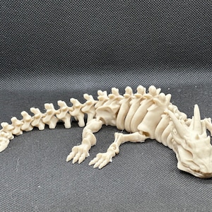 Articulated Lizard Skeleton   - Sensory Toy - Figit Toy -