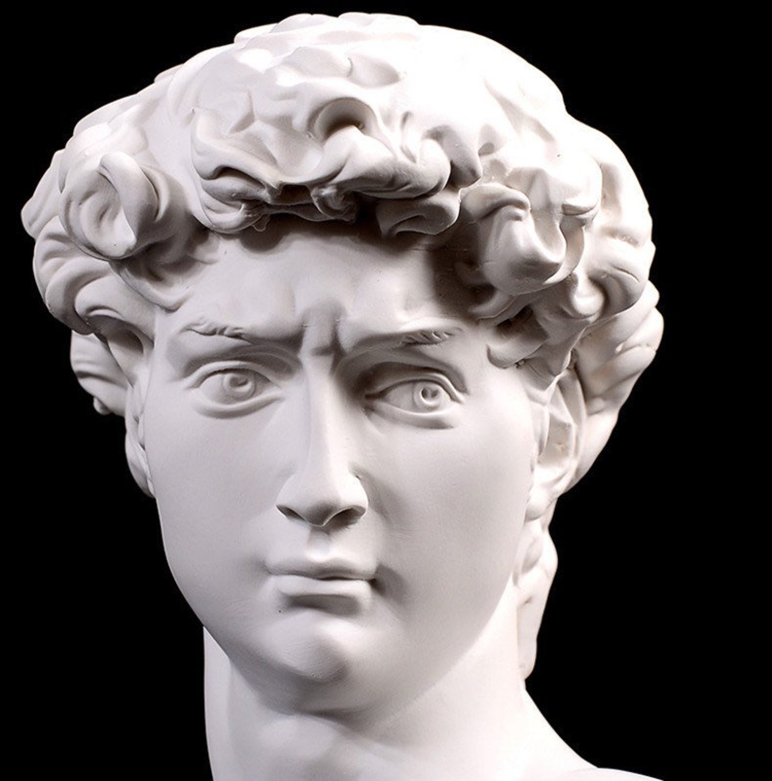 Statue of David Head Bust Etsy