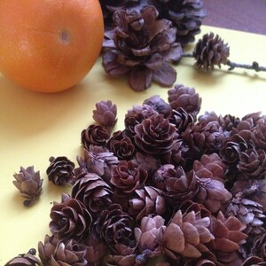 May include: A close-up of a pile of brown pine cones arranged in a decorative pattern. The cones are arranged in a circular pattern, with the largest cone in the centre. The cones are all of a similar size and shape, and they have a natural, rustic look.