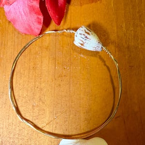 May include: A gold-toned wire bracelet with a small, white and brown seashell accent. The bracelet is circular and sits on a wooden surface, with a red flower and a white seashell in the background. The bracelet is a piece of jewelry.