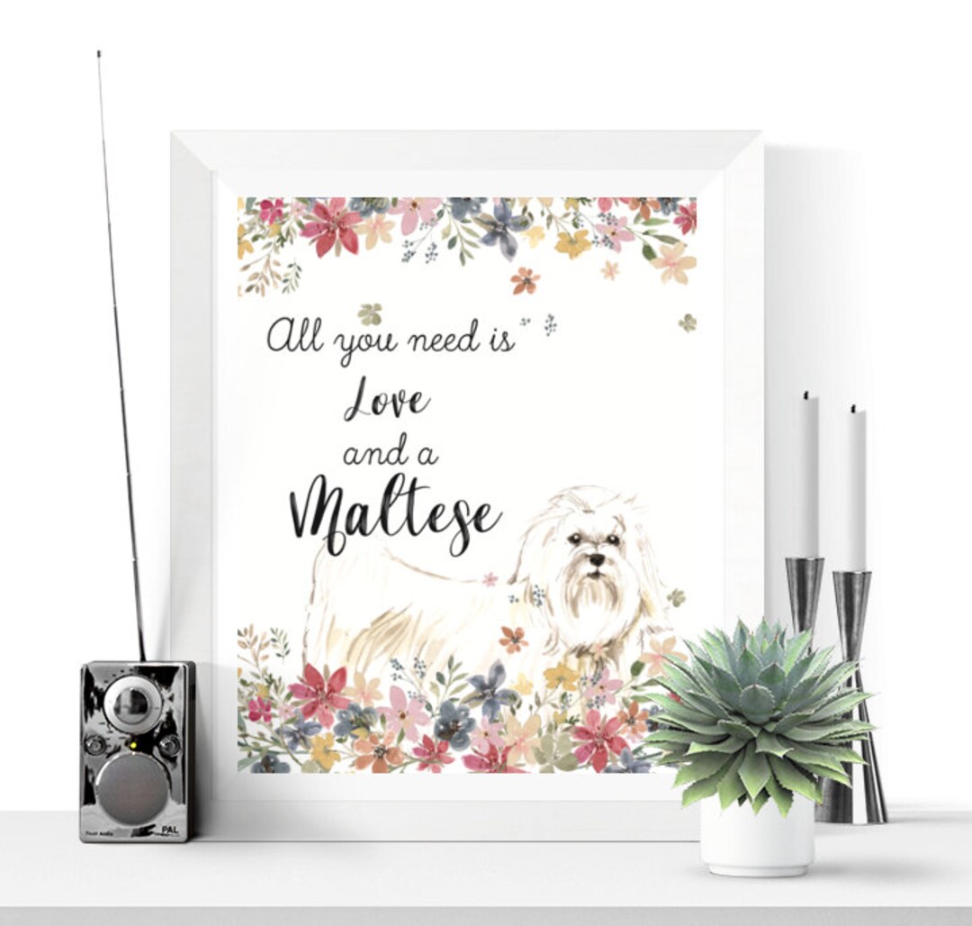 Maltese Art Maltese Wall Art Printable Dog Prints Maltese Printable Dog