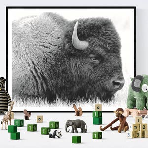 Buffalo Print Buffalo Photograph Printable Black and White Nursery Decor Bison Art Boys Room Art Kids Room image 2