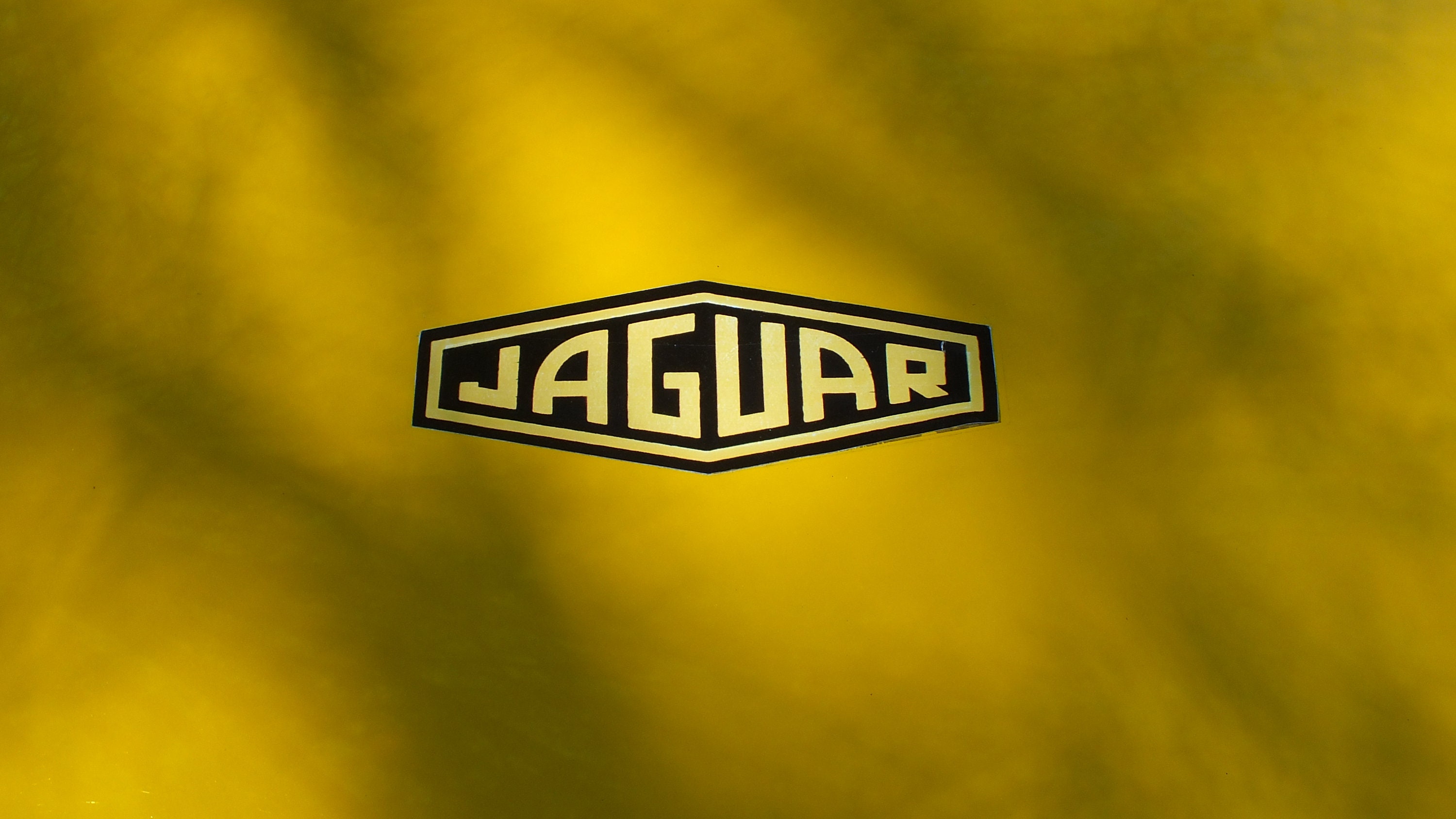 Jaguar Cars Emblem. Gallery Wrap Canvas Print. Extra Large Etsy