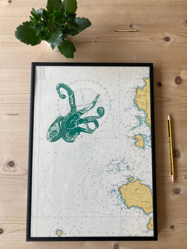 Green Octopus Scottish Isles