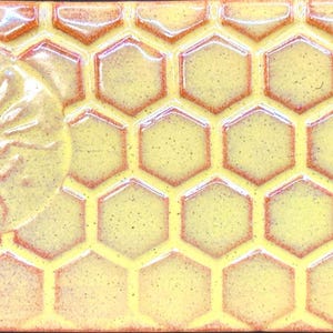 Bee Handmade Ceramic Subway Tile for Kitchen Backsplash Bathroom or Shower Wall Mirror Accent Tile 2x4 Inch Signed (Set #2)