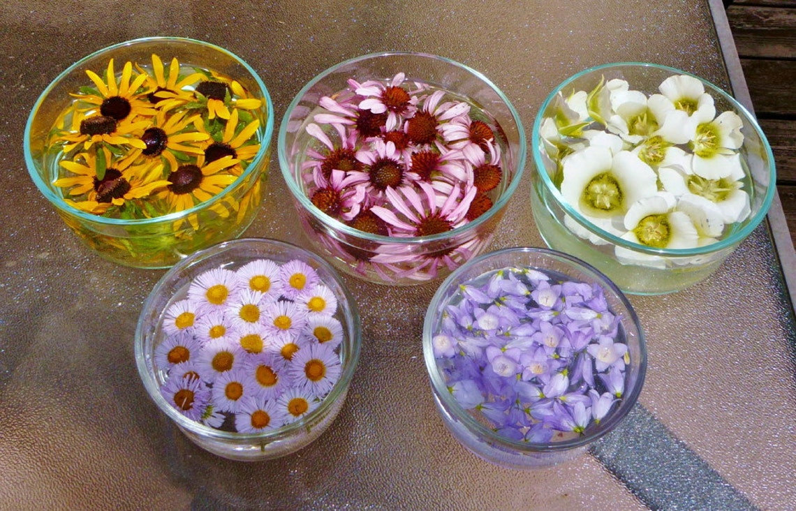 Flower Essences Stress & Anger Health Talisman Flower Etsy