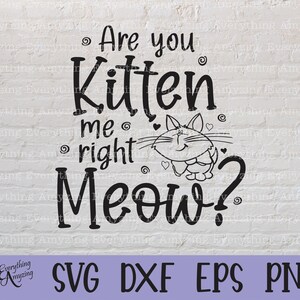 Are You Kitten me Right Meow svg, Cat svg, Kitten svg, Pet svg, Cat Lady svg, Funny svg, Cricut svg, Silhouette svg, svg, png, eps, dxf