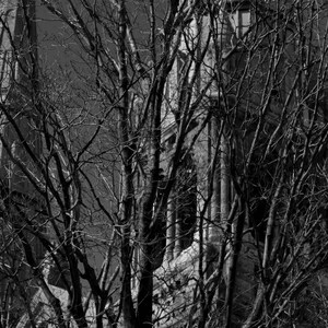 Cathedrals - photo print