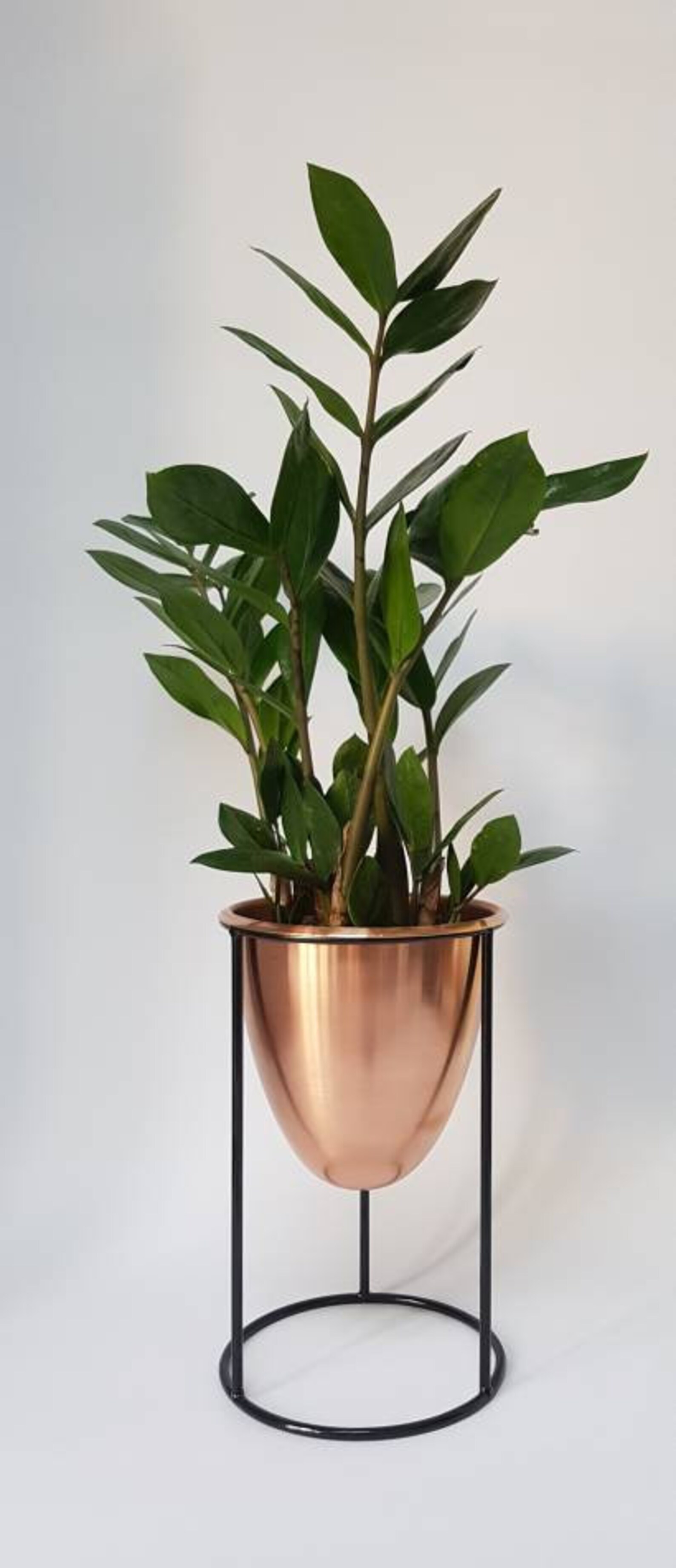 Solid Copper Plant Pot With Stand Etsy