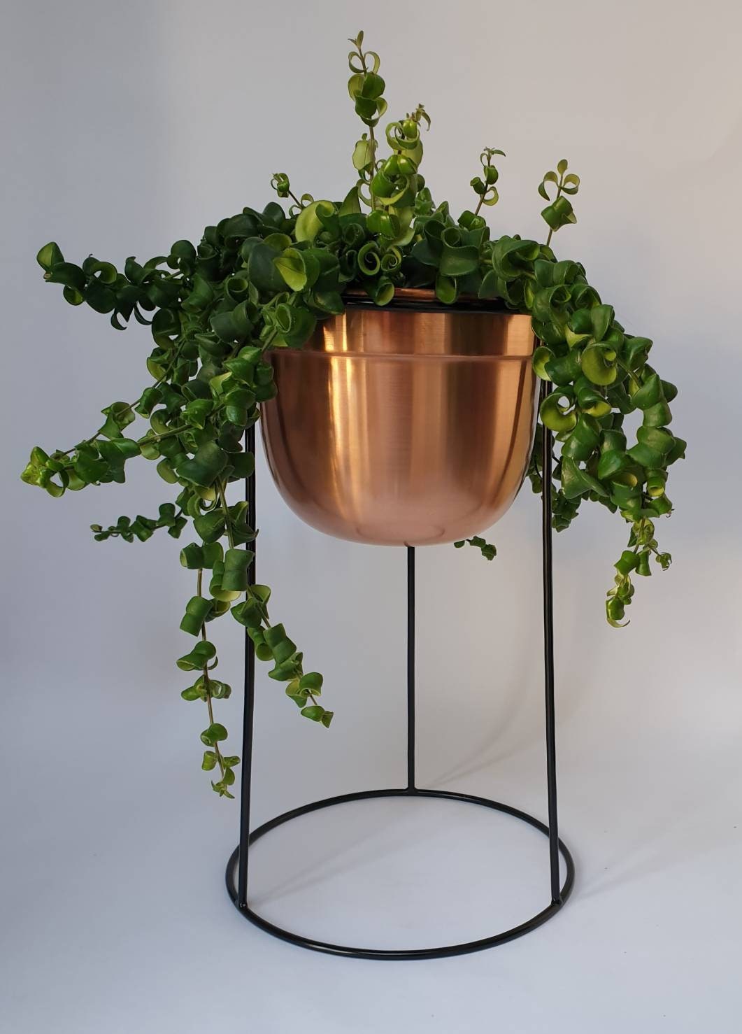 Handmade Round Bottom Pot in Stand Etsy