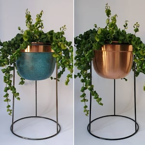 May include: Two decorative planters with green plants. One is teal with a copper rim, the other is copper. Both are supported by a black metal stand with a circular base and vertical supports.