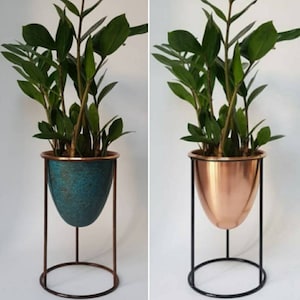 Peut inclure: Deux plantes en pot dans des pots en cuivre avec des supports en métal noir. Le pot de gauche est de couleur sarcelle et le pot de droite est de couleur cuivre.